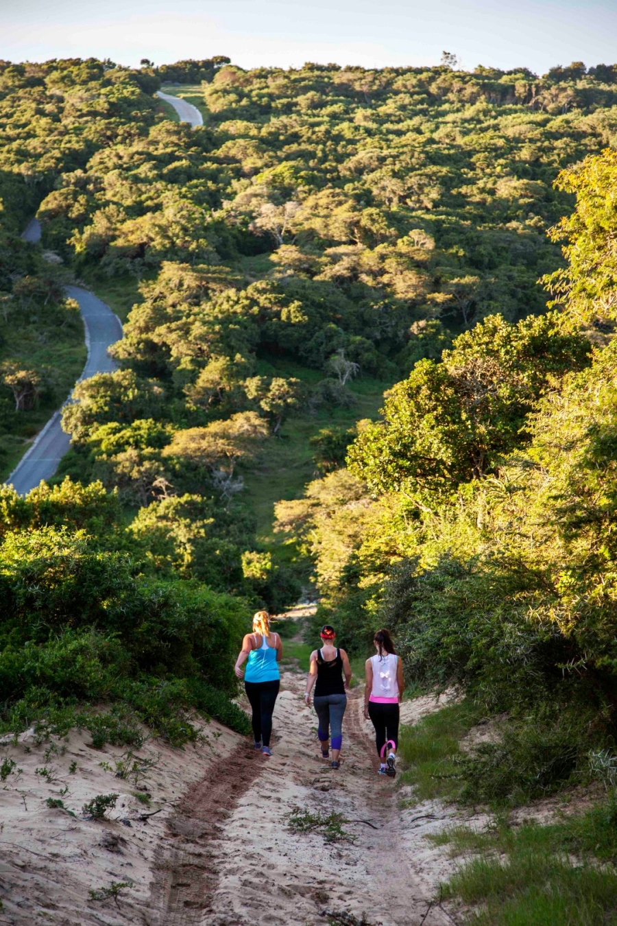 Commercial Property for Sale in Royalston Residential Estate and Wildlife Reserve Eastern Cape